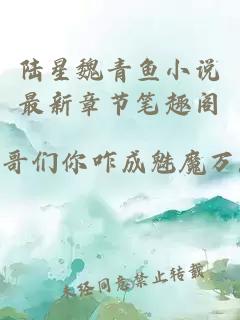 陆星魏青鱼小说最新章节笔趣阁